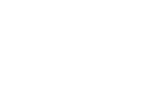 Venkatesh Serenique Bavdhan Logo Image